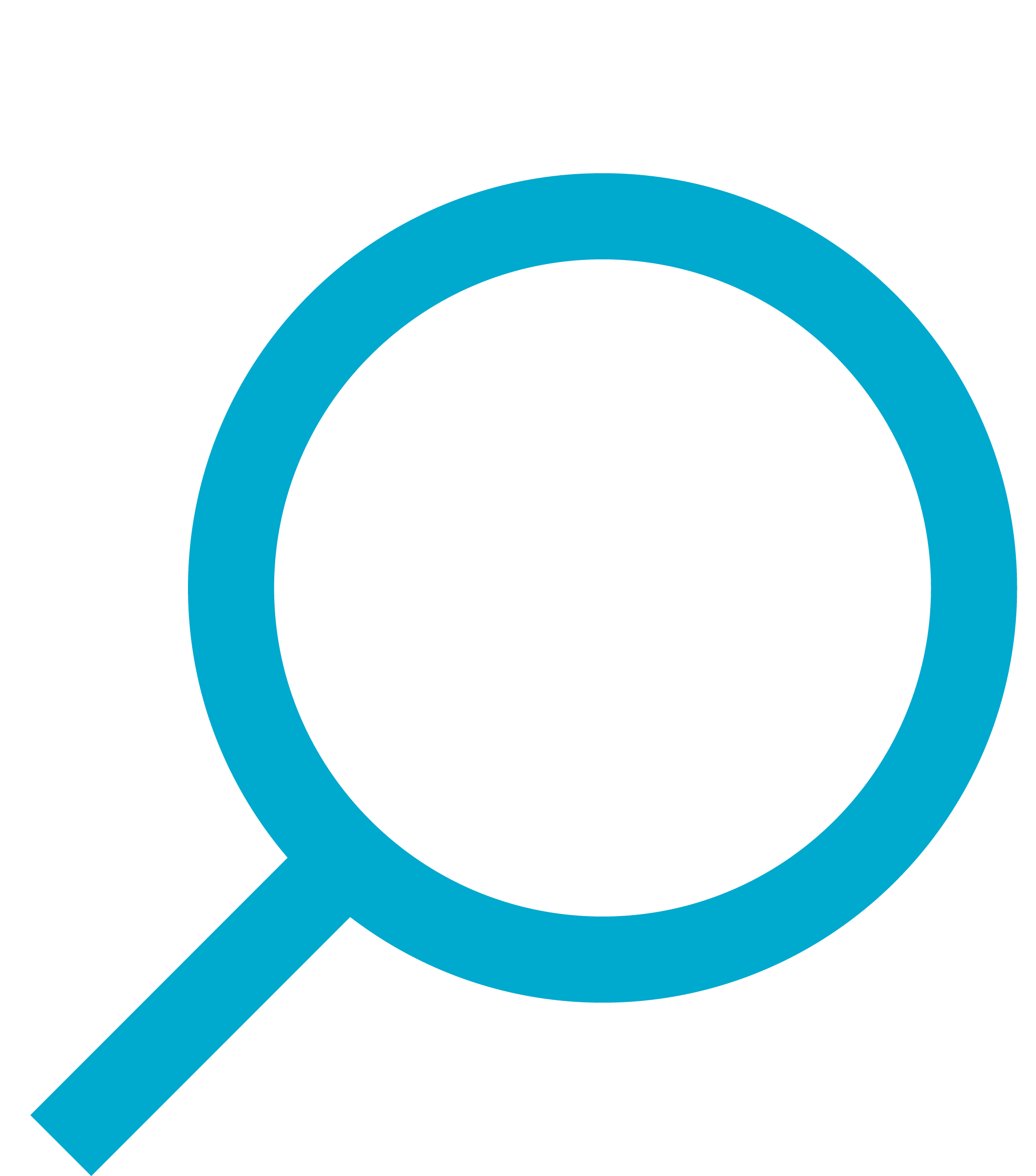 Search Website