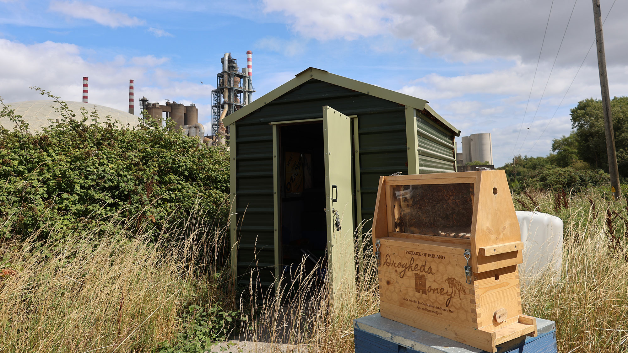 Irish Cement Beekeeping In Platin