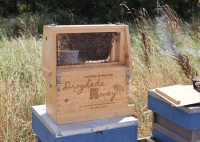 Irish Cement Biodiversity Platin Beekeeping
