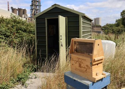 Irish Cement Biodiversity Platin Beekeeping