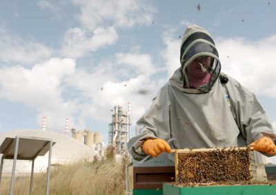 Irish Cement Biodiversity Platin Beekeeping