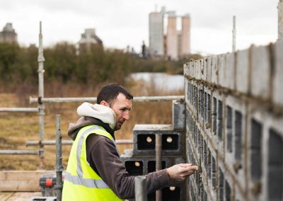 Irish Cement Biodiversity - Sand Martin Nest Building
